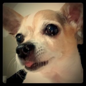 Meet your Posher, Janae